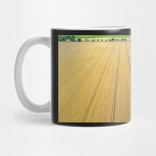 Aerial view of ripe field of grain ready to harvest Mug